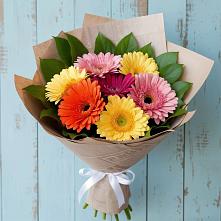 Букет цветов из:  Герберы в Новоселицком