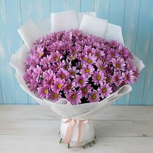 Букет цветов из:  Хризантемы в Новоселицком