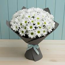 Букет цветов из:  Хризантемы в Новоселицком