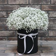 Цветочная композиция из Гипсофила в шляпной коробке в Новоселицком