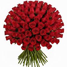 Букет Красные розы Чери Лав в Новоселицком
